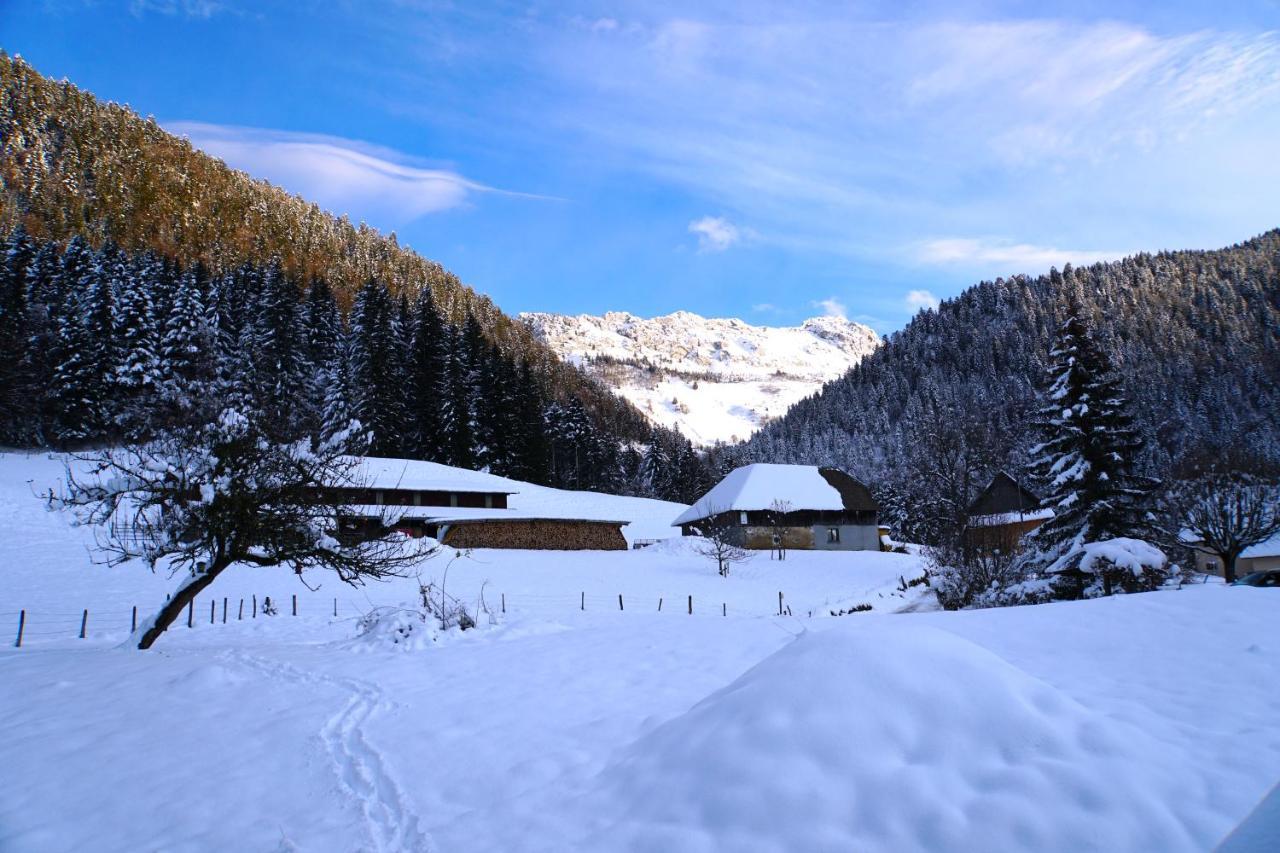 La Grange Au Ruisseau Villa Bellecombe-en-Beauges Kültér fotó